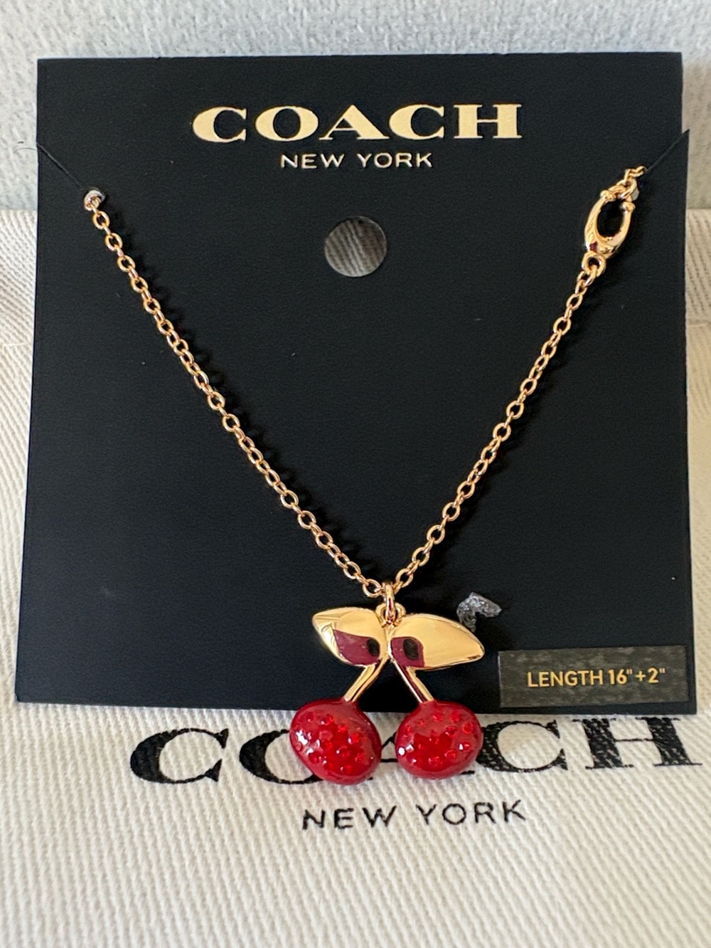 Coach Cherry Necklace